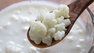 Leia mais sobre o artigo Kefir: Um Tesouro Ancestral para a Sua Saúde